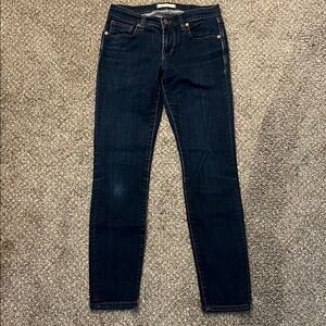 Madewell Blue Skinny Jeans Classic Fit